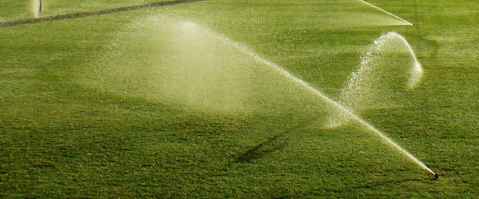 Sprinkler System Irrigation Inspections