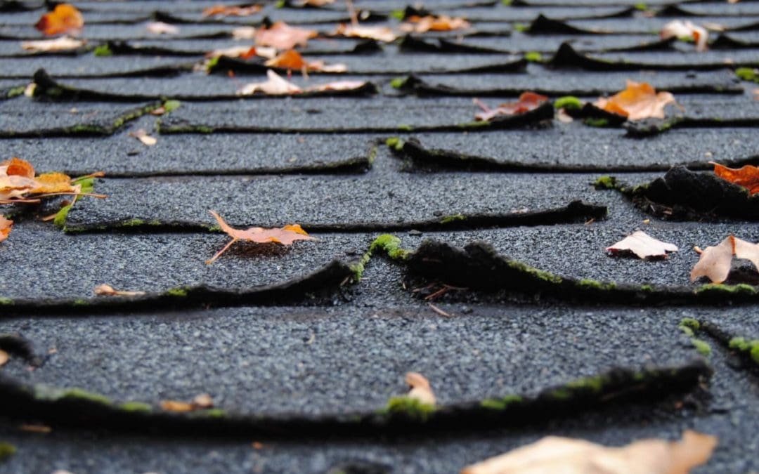 curling or buckling shingles are signs that you need a new roof